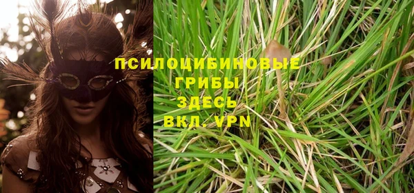 молекула духа Белоозёрский